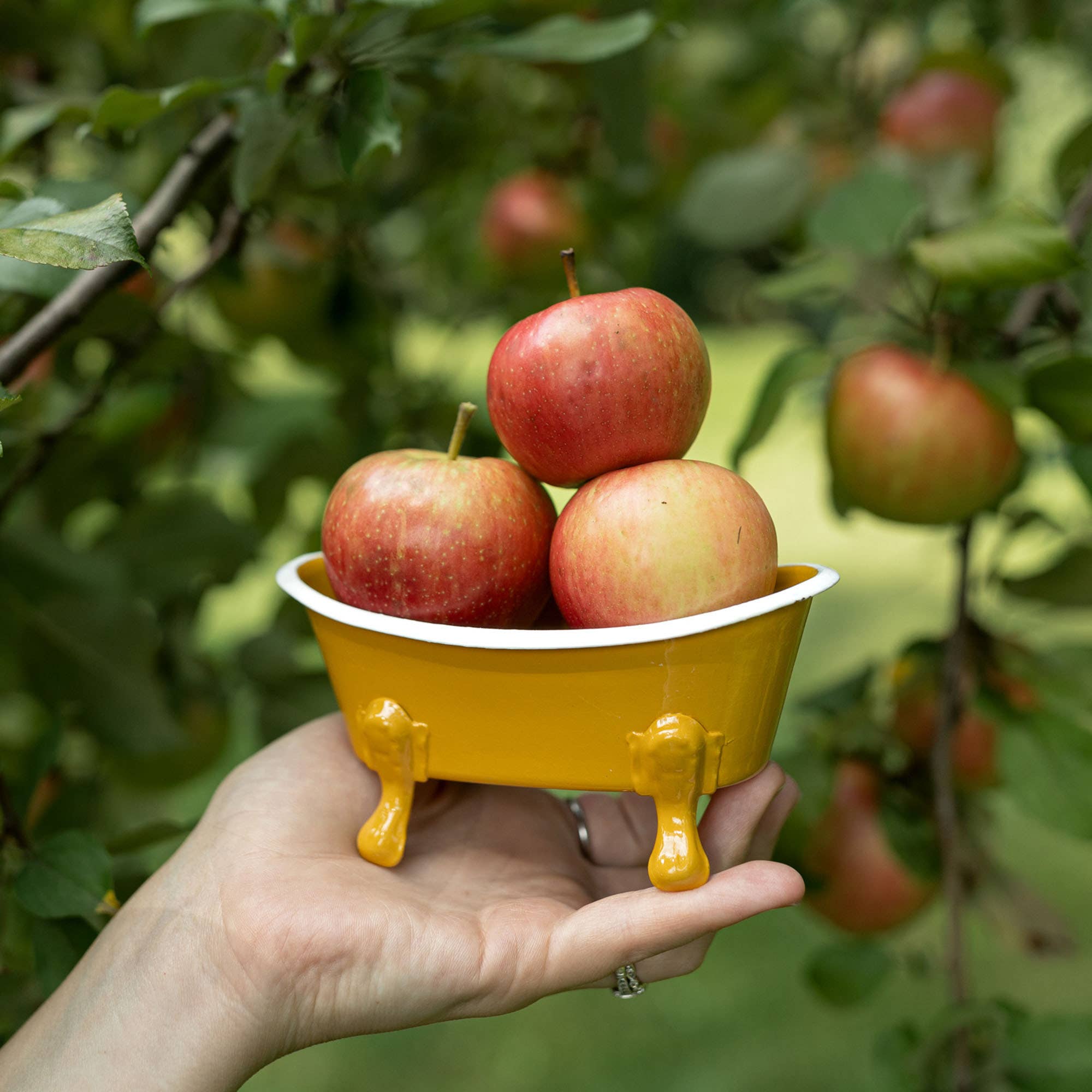 Mustard Enamel Bathtub Metal Soap Dish - Thumbnail 2